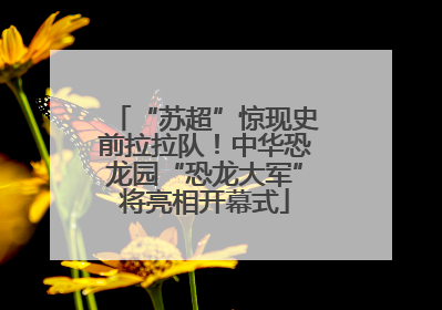 “苏超”惊现史前拉拉队！中华恐龙园“恐龙大军”将亮相开幕式